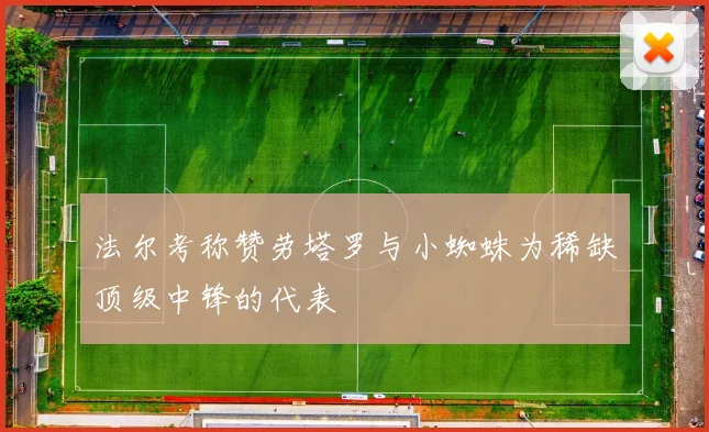 法尔考称赞劳塔罗与小蜘蛛为稀缺顶级中锋的代表