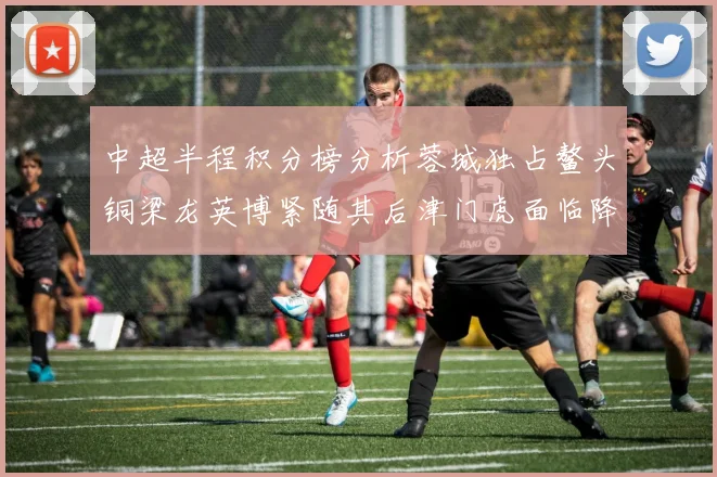 中超半程积分榜分析蓉城独占鳌头铜梁龙英博紧随其后津门虎面临降级危机