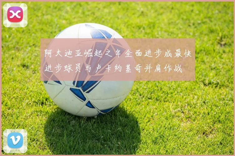 阿夫迪亚崛起之年全面进步成最快进步球员与卢卡约基奇并肩作战